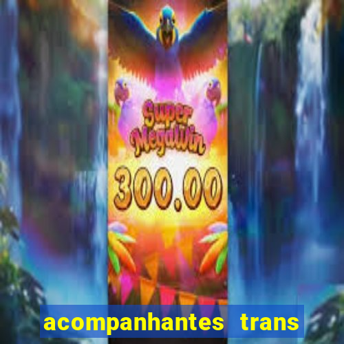 acompanhantes trans baixada fluminense