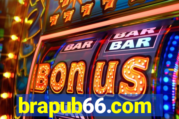 brapub66.com