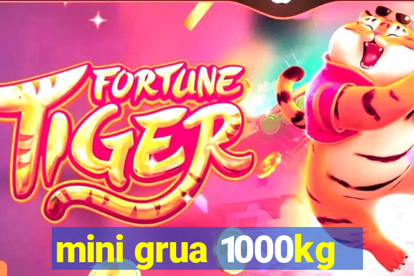 mini grua 1000kg