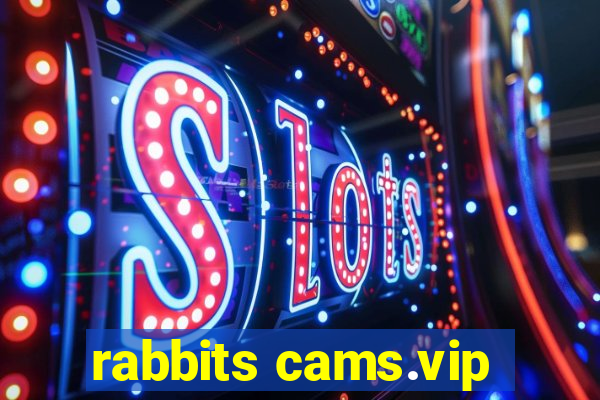 rabbits cams.vip