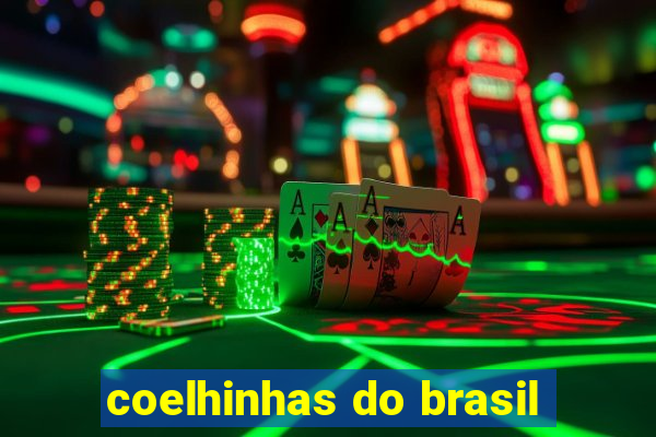 coelhinhas do brasil