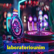 laboratoriounimedblumenau.com.br