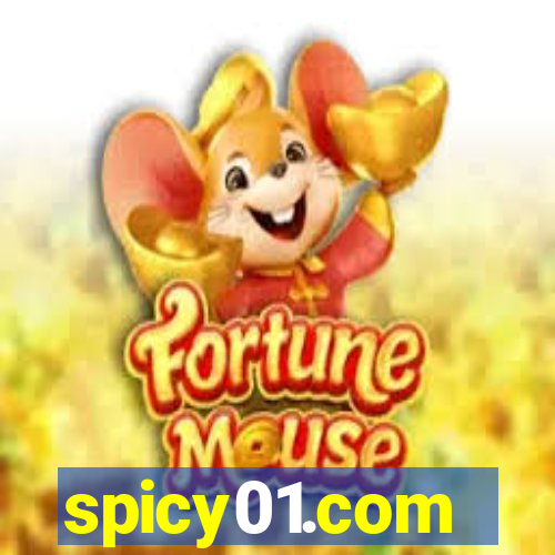 spicy01.com