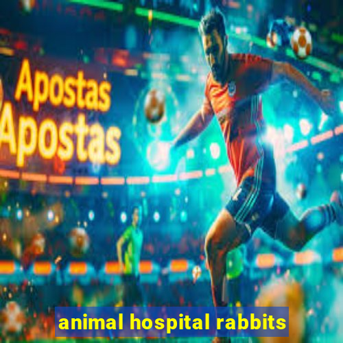 animal hospital rabbits